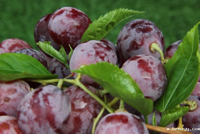 东莞市2023年第40周砂石批发价格监测信息