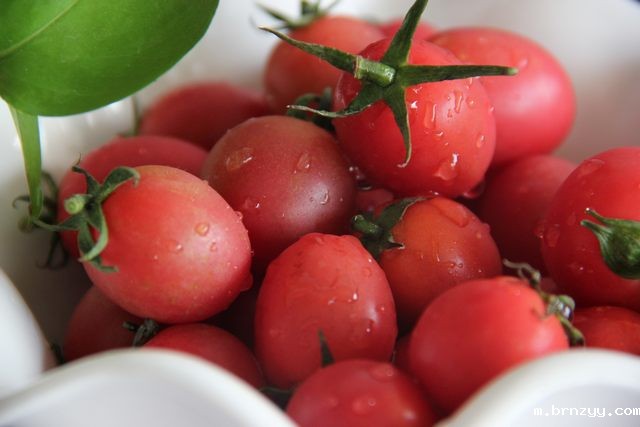 东莞市2023年9月份农业生产资料零售价格监测信息